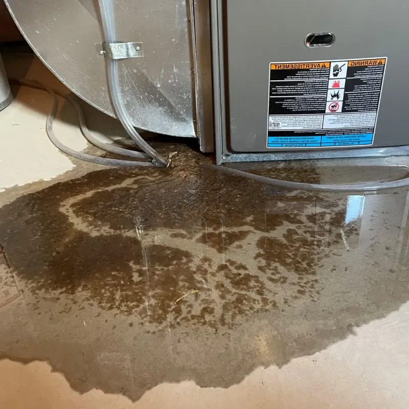 Pipe Burst and Leak Restoration in Rexburg, ID